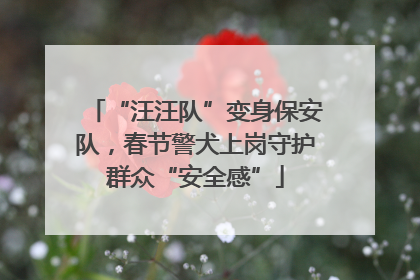 “汪汪队”变身保安队，春节警犬上岗守护群众“安全感”