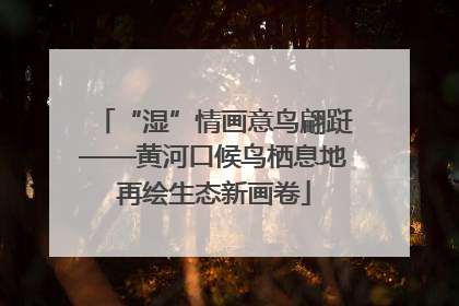 “湿”情画意鸟翩跹——黄河口候鸟栖息地再绘生态新画卷