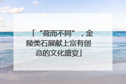 “荷而不同”，金陵美石展献上富有创意的文化盛宴