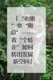 “老熊”变“熊总”——看“个转企”如何转出发展新空间