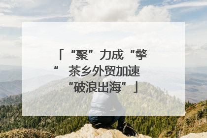 “聚”力成“擎” 茶乡外贸加速“破浪出海”