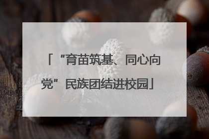 “育苗筑基、同心向党”民族团结进校园