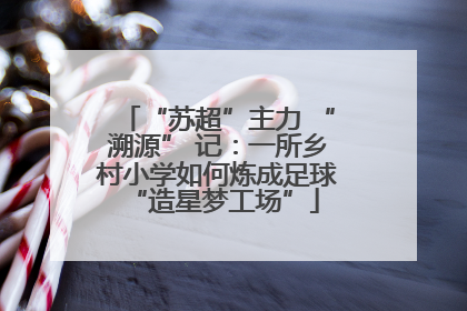 “苏超”主力 “溯源” 记：一所乡村小学如何炼成足球 “造星梦工场”