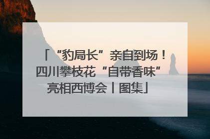 “豹局长”亲自到场！四川攀枝花“自带香味”亮相西博会丨图集