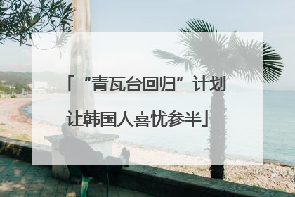 “青瓦台回归”计划让韩国人喜忧参半