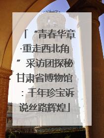 “青春华章·重走西北角”采访团探秘甘肃省博物馆：千年珍宝诉说丝路辉煌