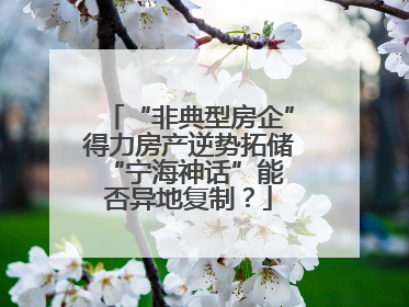 “非典型房企”得力房产逆势拓储 “宁海神话”能否异地复制？