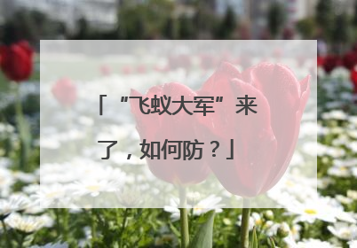 “飞蚁大军”来了，如何防？