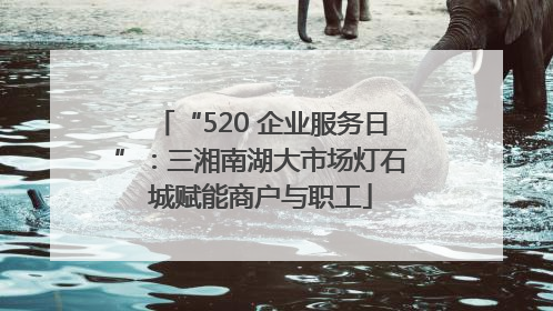 “520 企业服务日”：三湘南湖大市场灯石城赋能商户与职工