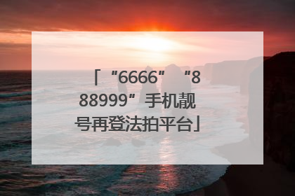 “6666”“888999”手机靓号再登法拍平台