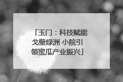 玉门：科技赋能戈壁绿洲 小院引领蜜瓜产业振兴