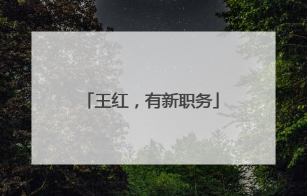 王红，有新职务