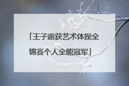 王子露获艺术体操全锦赛个人全能冠军