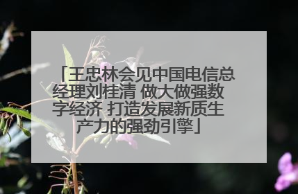 王忠林会见中国电信总经理刘桂清 做大做强数字经济 打造发展新质生产力的强劲引擎