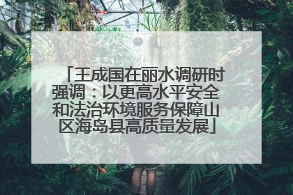 王成国在丽水调研时强调：以更高水平安全和法治环境服务保障山区海岛县高质量发展