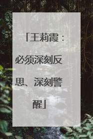 王莉霞：必须深刻反思、深刻警醒