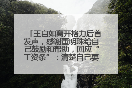 王自如离开格力后首发声，感谢董明珠给自己鼓励和帮助，回应“工资条”：清楚自己要什么，工资条不重要