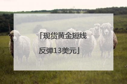 现货黄金短线反弹13美元