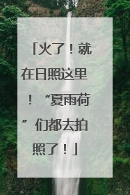 火了！就在日照这里！“夏雨荷”们都去拍照了！