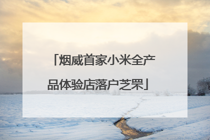 烟威首家小米全产品体验店落户芝罘