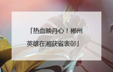 热血映丹心！郴州英雄在湘获省表彰