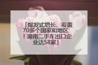 爆发式增长、覆盖70多个国家和地区！湖南二手车出口企业达58家