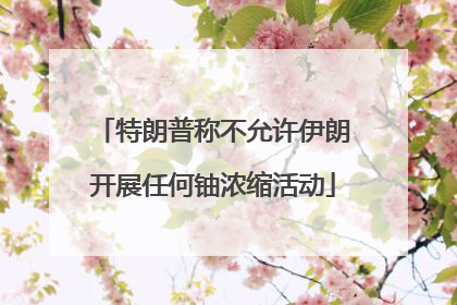 特朗普称不允许伊朗开展任何铀浓缩活动
