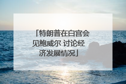 特朗普在白宫会见鲍威尔 讨论经济发展情况