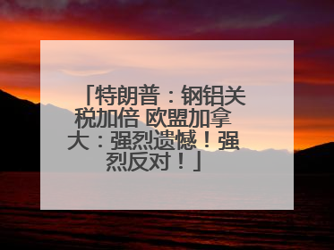 特朗普：钢铝关税加倍 欧盟加拿大：强烈遗憾！强烈反对！