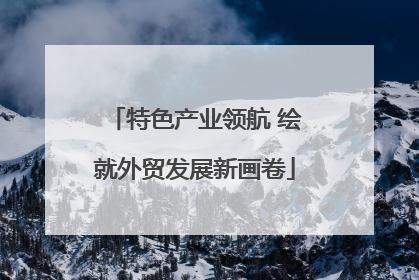 特色产业领航 绘就外贸发展新画卷