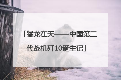 猛龙在天——中国第三代战机歼10诞生记