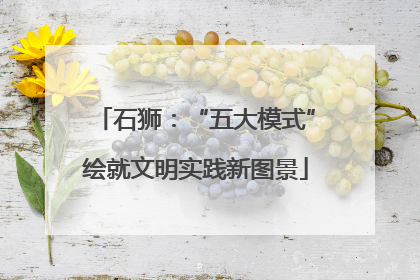 石狮：“五大模式”绘就文明实践新图景