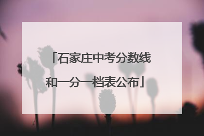 石家庄中考分数线和一分一档表公布