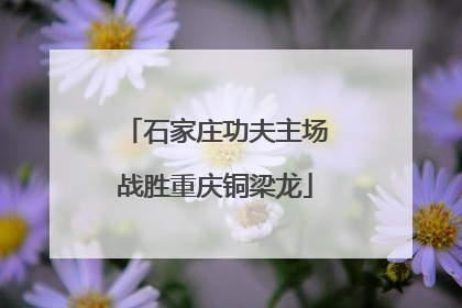 石家庄功夫主场战胜重庆铜梁龙