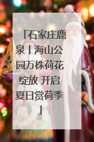 石家庄鹿泉丨海山公园万株荷花绽放 开启夏日赏荷季