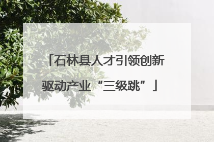 石林县人才引领创新驱动产业“三级跳”