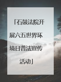 石鼓法院开展六五世界环境日普法宣传活动