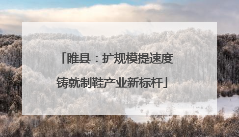 睢县：扩规模提速度 铸就制鞋产业新标杆