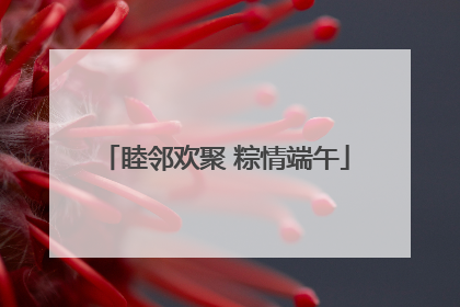 睦邻欢聚 粽情端午