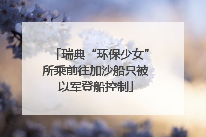 瑞典“环保少女”所乘前往加沙船只被以军登船控制