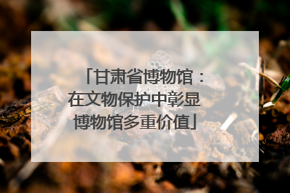 甘肃省博物馆：在文物保护中彰显博物馆多重价值