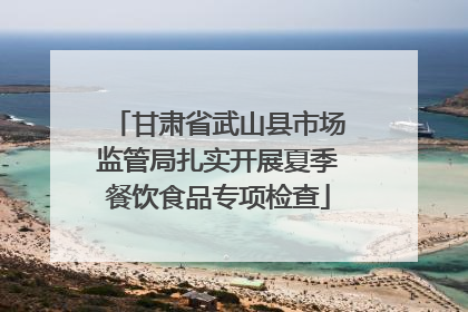 甘肃省武山县市场监管局扎实开展夏季餐饮食品专项检查