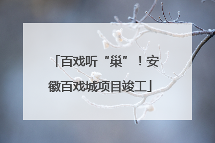 百戏听“巢”！安徽百戏城项目竣工