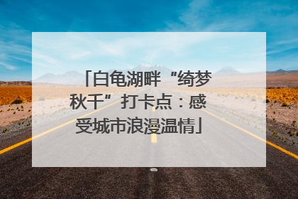 白龟湖畔“绮梦秋千”打卡点：感受城市浪漫温情