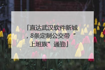 直达武汉软件新城，8条定制公交带“上班族”通勤