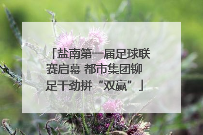 盐南第一届足球联赛启幕 都市集团铆足干劲拼“双赢”