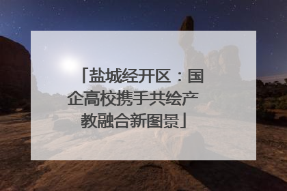 盐城经开区：国企高校携手共绘产教融合新图景