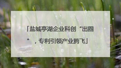 盐城亭湖企业科创“出圈”，专利引领产业腾飞