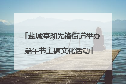 盐城亭湖先锋街道举办端午节主题文化活动