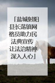 盐城射阳县长荡镇网格员助力民法典宣传 让法治精神深入人心